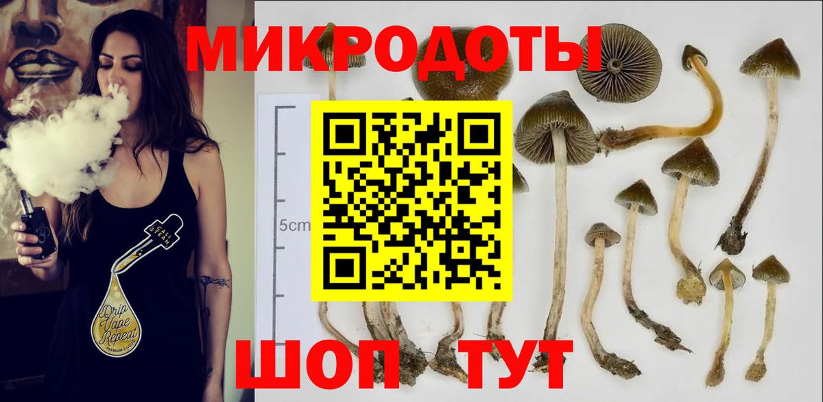 Чернушка  Псилоцибиновые грибы прущие грибы  Вход с VPN  Галлюциногенные грибы Magic Shrooms 
